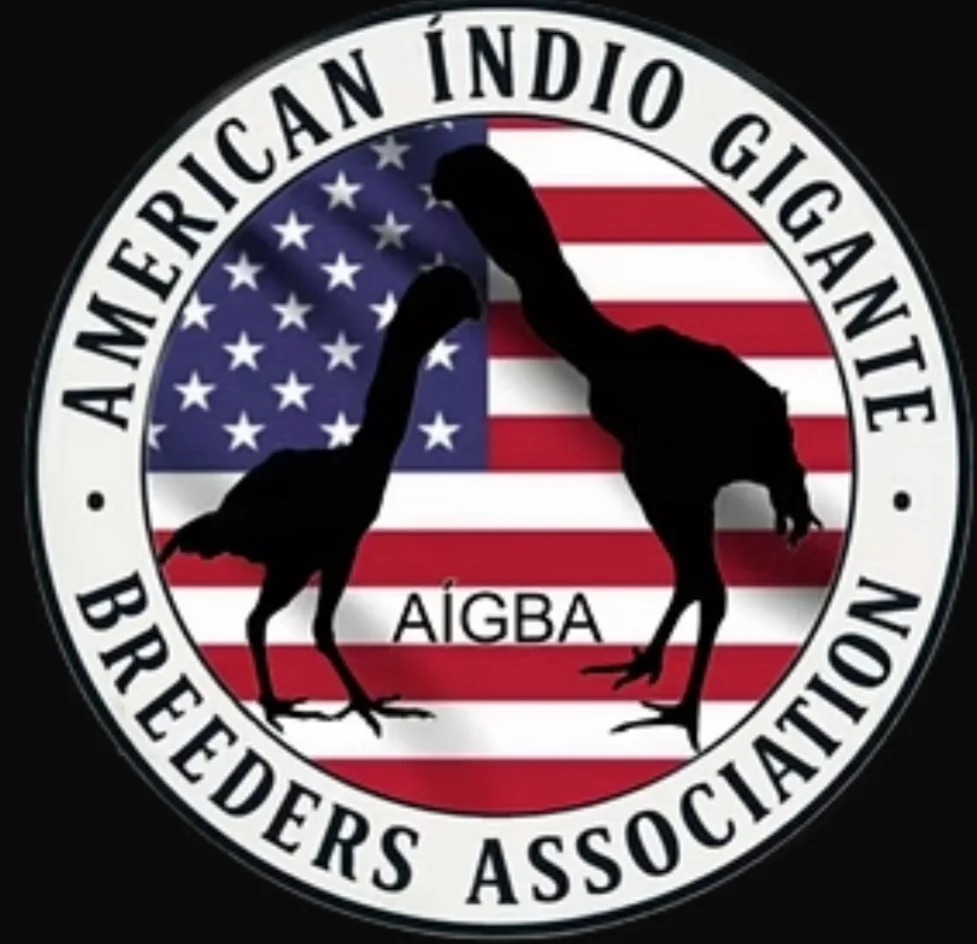 American Indio Gigante Breeders Association logo